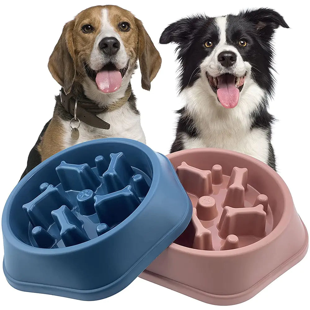 Slow Feeder Bone Design Pet Bowl - Woof And Tails 